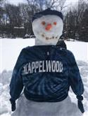 snowy_(3)_2-9